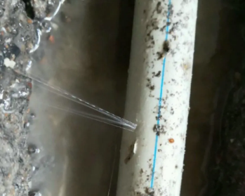 盐山卫生间测漏水多少钱