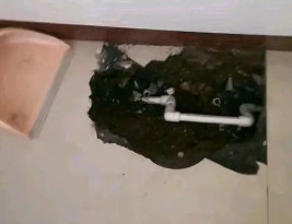 盐山卫生间测漏水多少钱